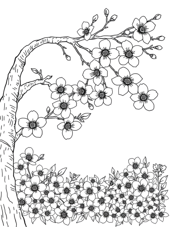 Art Nouveau Cherry Blossom Branch black and white line art