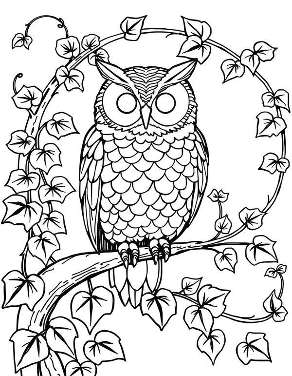 Art Nouveau Owl Perched Among Ivy black and white line art