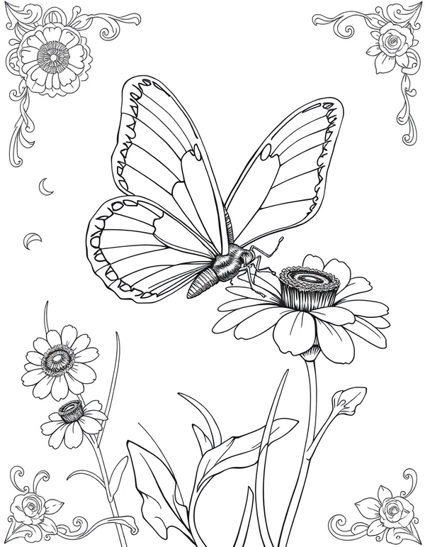 Common Blue Butterfly on a Wildflower - black and white coloring page