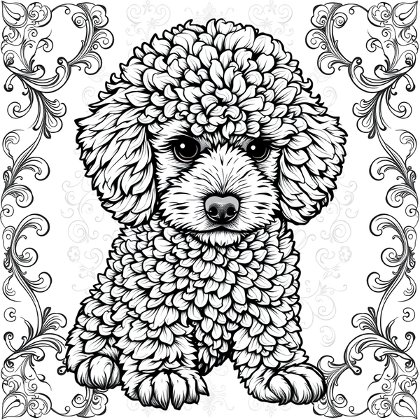 Black and white coloring page of fluffy poodle puppy with curly fur