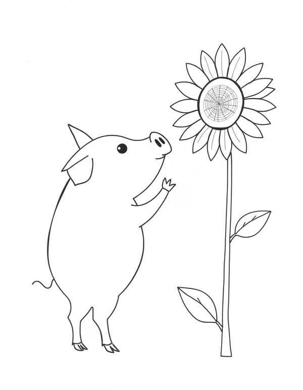Pig Sniffing A Sunflower black and white line art