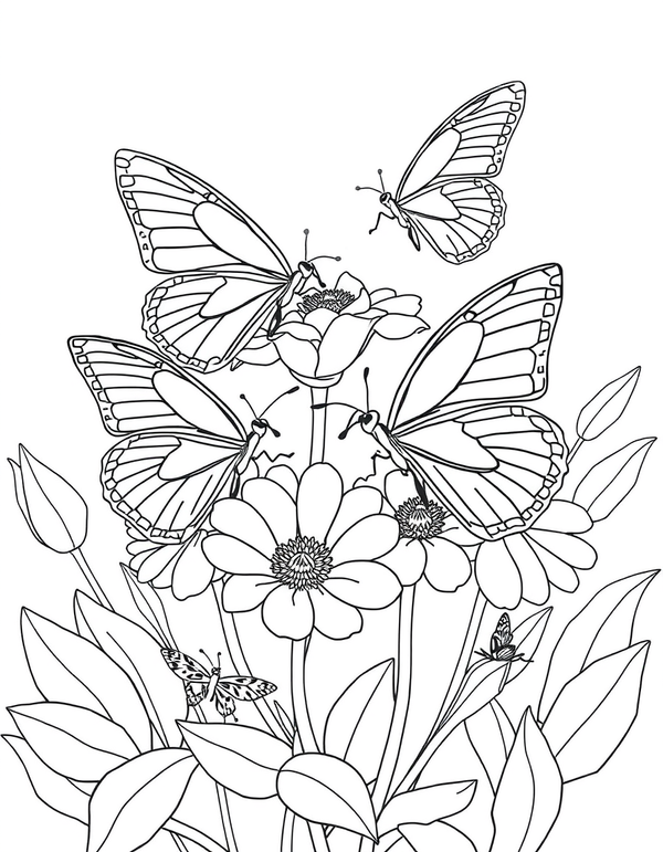 Butterfly on Flowers coloring page - free printable