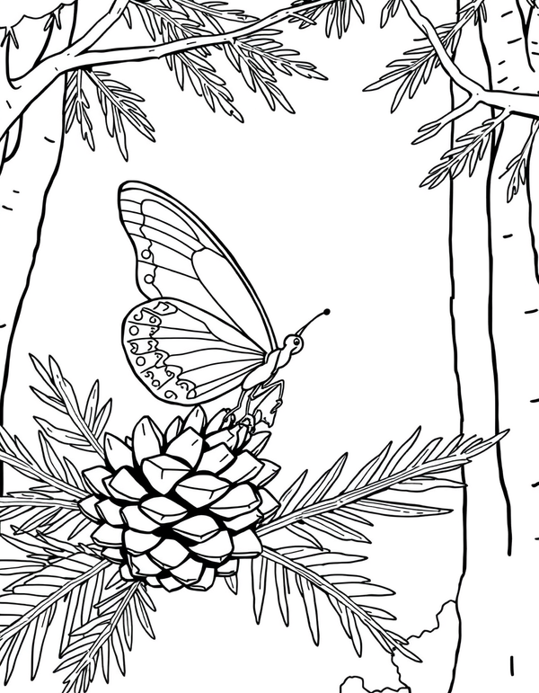 Butterfly Perched on a Pine Cone in a Forest - black and white coloring page