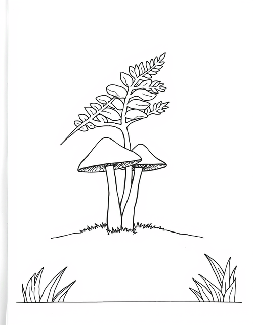 Mushrooms Under A Fern Leaf black and white line art