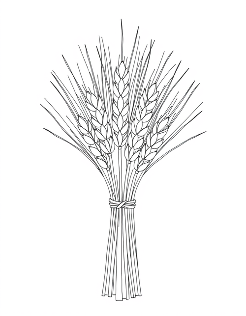 Bundle Of Wheat Tied With Twine black and white line art
