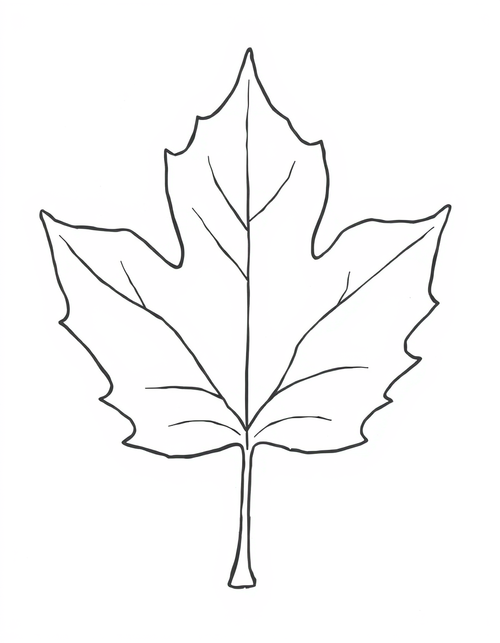 Giant Maple Leaf black and white line art