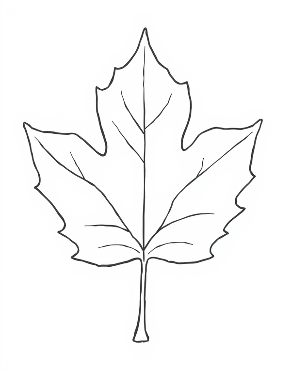 Giant Maple Leaf black and white line art